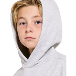 Didriksons Ven, hoodie, junior, lysegrå