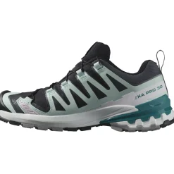 Salomon XA Pro 3D V9 GTX, trailsko, dame, grå/lyseblå
