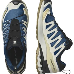 Salomon XA Pro 3D V9 GTX, trailsko, herre, blå